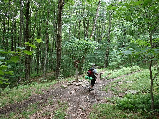 Picture 8 of Spruce Knob and Seneca Creek Hike 080313