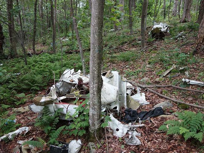 Plane crash scraps