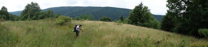 Picture 49 of Spruce Knob and Seneca Creek Hike 080313