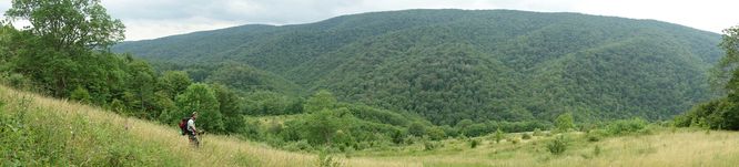 Picture 53 of Spruce Knob and Seneca Creek Hike 080313