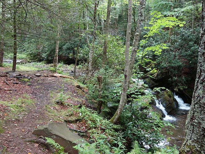Picture 48 of Spruce Knob and Seneca Creek Hike 080313