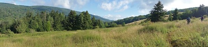 Picture 36 of Spruce Knob and Seneca Creek Hike 080313