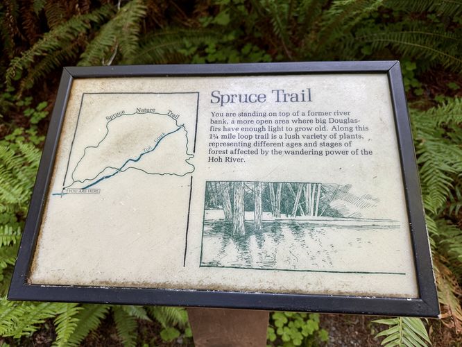 Spruce Nature Trail info sign