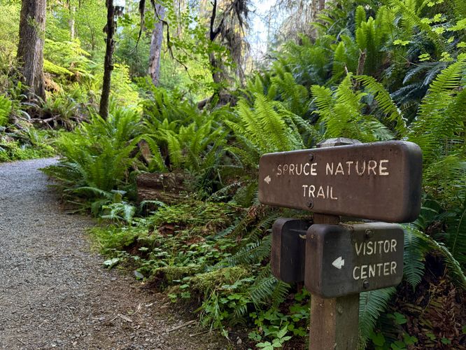 Spruce Nature Trail trailhead sign