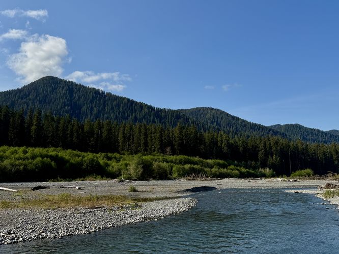 Hoh River Viewpoint