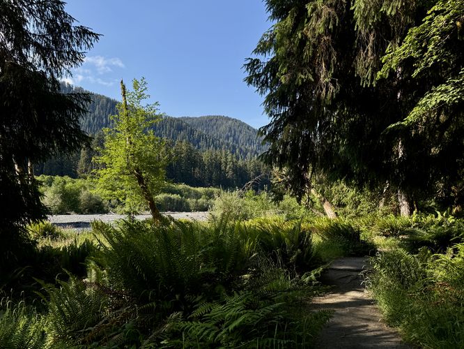 Views of mountains that surround the Hoh River as seen from the trail