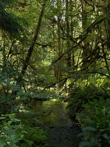 Picture 15 of Spruce Nature Trail