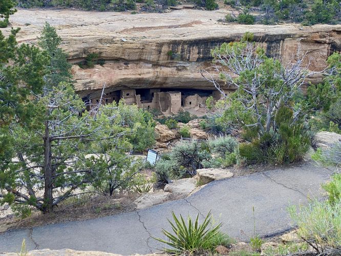 View of the Spruce Tree House cliff dwellings from the trail