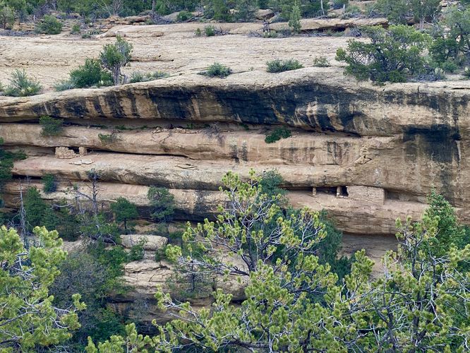 More dwellings in the cliffs north of Spruce Tree House