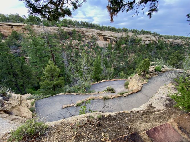 Switchbacks of the Spruce Tree Trail