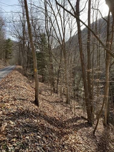 Trail begins along steep grade