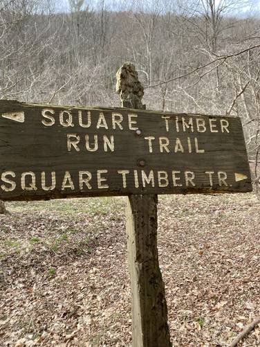 Right-hand turn to stay on Square Timber Trail