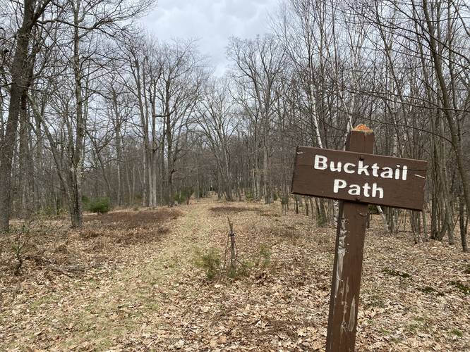 Bucktail Path trail sign