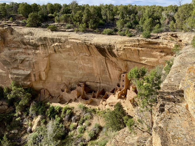 View of the ancient Square Tower House cliff dwellings