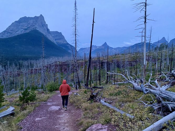 Hiking the St. Mary Lake Trail to St. Mary Falls