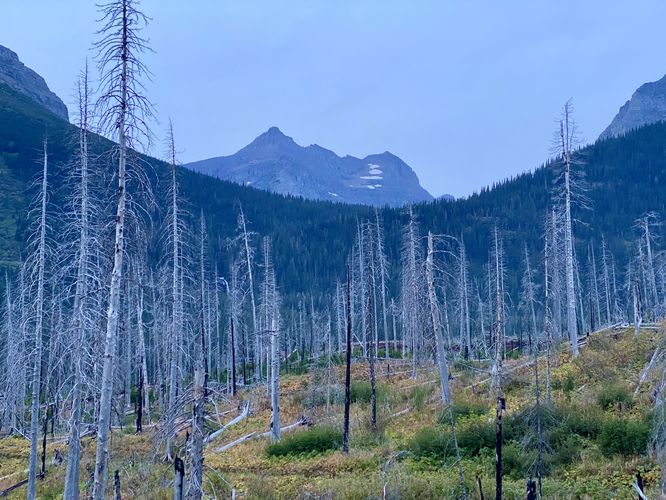 View of Almost-a-Dog Mountain