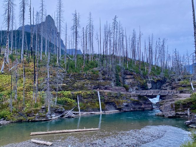  View of St. Mary Falls, pool, and footbridge
