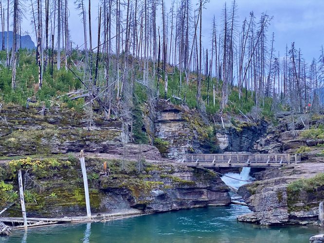 View of St. Mary Falls, pool, and footbridge