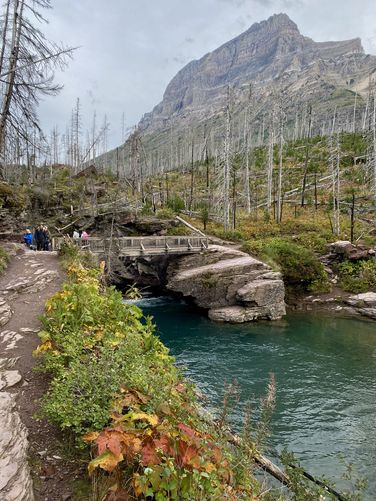 Foliage and turquoise waters of St. Mary Falls