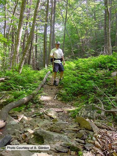 Picture 3 of St Marys Wilderness Hike 062307