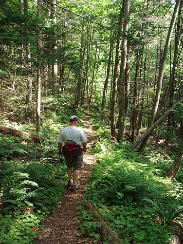 Picture 32 of St Marys Wilderness Hike 062307
