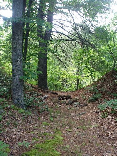 Picture 22 of St Marys Wilderness Hike 062307