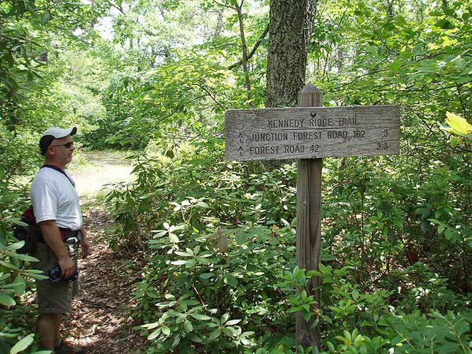 Picture 18 of St Marys Wilderness Hike 062307