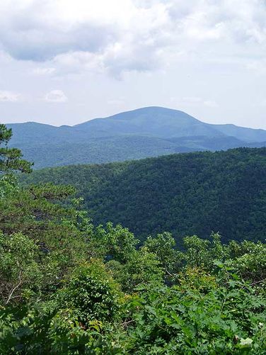 Picture 7 of St Marys Wilderness Hike 062307