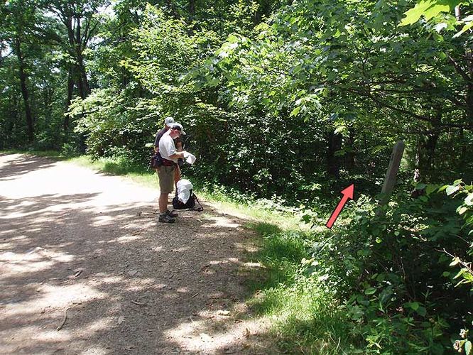 Picture 8 of St Marys Wilderness Hike 062307