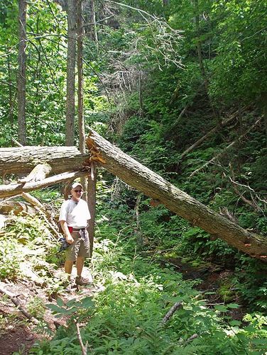 Picture 9 of St Marys Wilderness Hike 062307