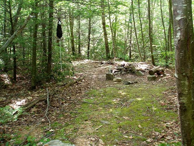 Picture 6 of St Marys Wilderness Hike 062307