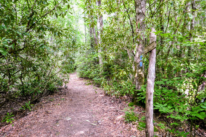 Picture 56 of Standing Indian Hike 060218