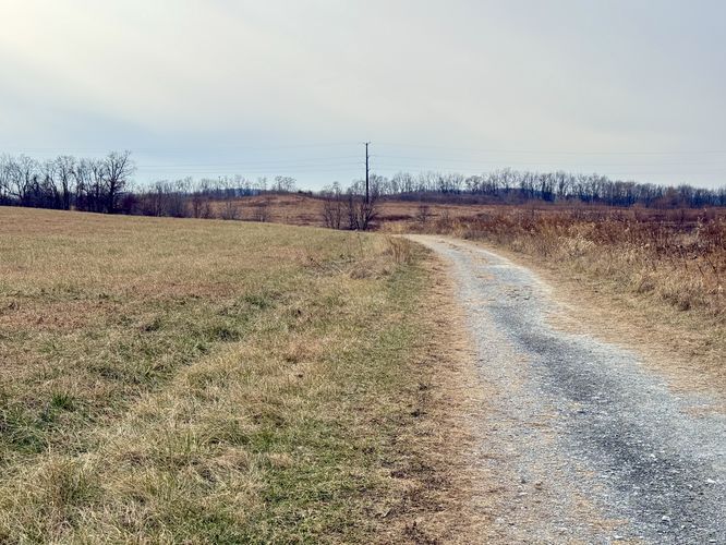 Hike the dirt service-road trail into the natural area