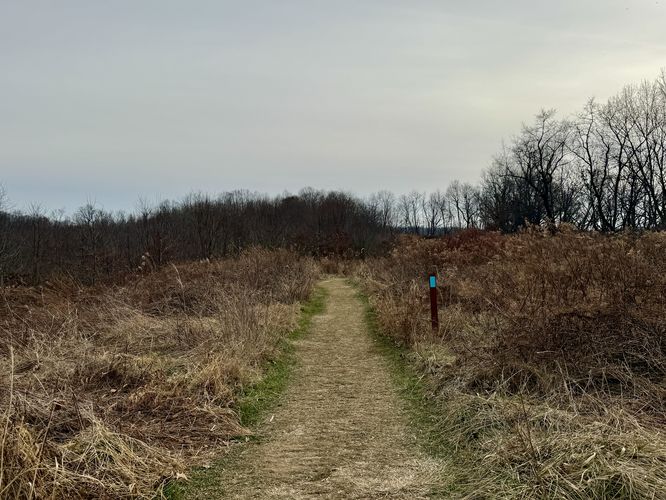 Hike follows blue blazes for a short section