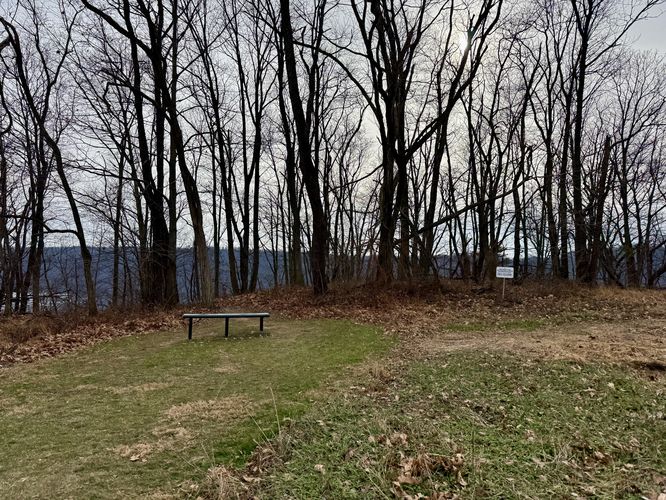 Star Rock Overlook is located behind the bench through the forest