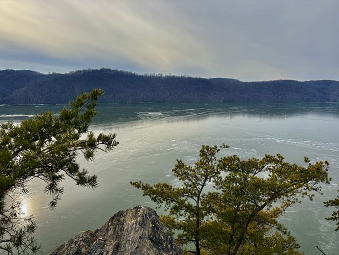 Pine trees sit in the foreground with a view of the Susquehanna River in the background