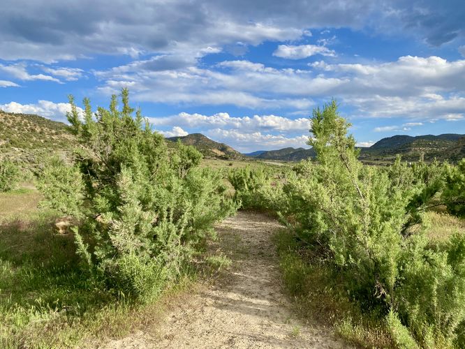 On the trail that leads to petroglyphs