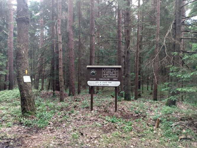 Camp Trailhead Sign