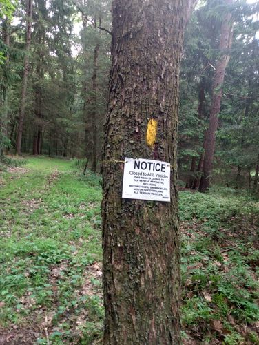 Camp Trail Blaze