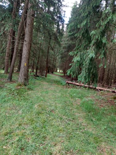 Barracks Camp Trail