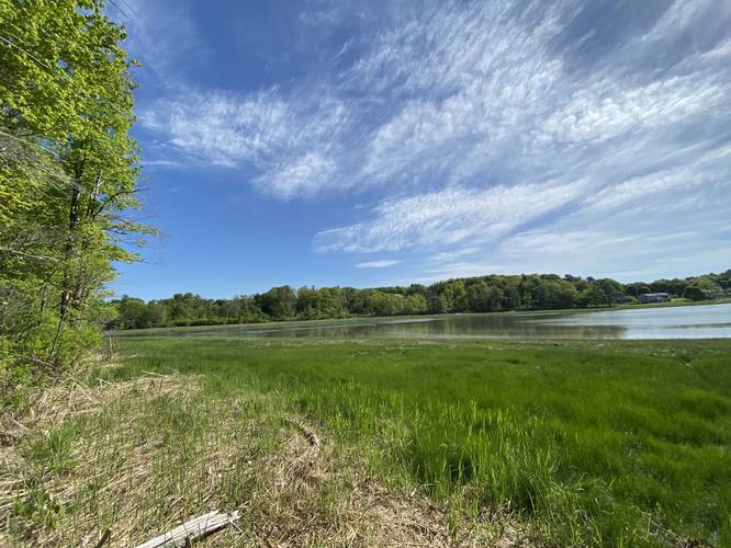 Saltwater tidal marsh