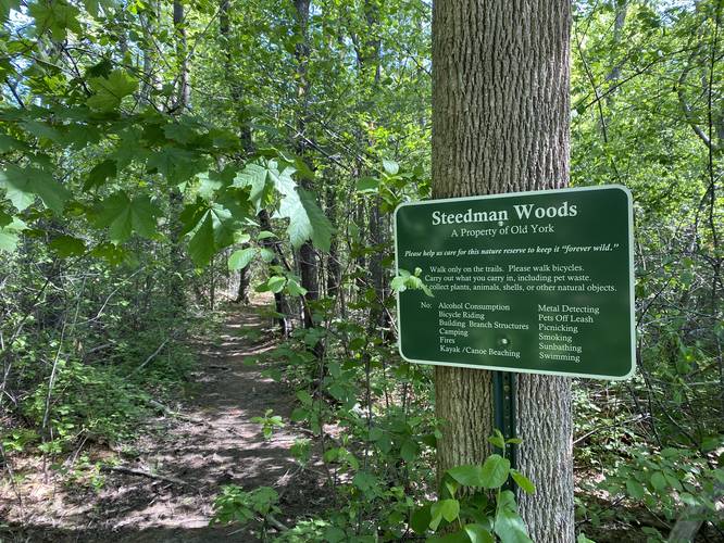 Picture 6 of Steedman Woods Trail