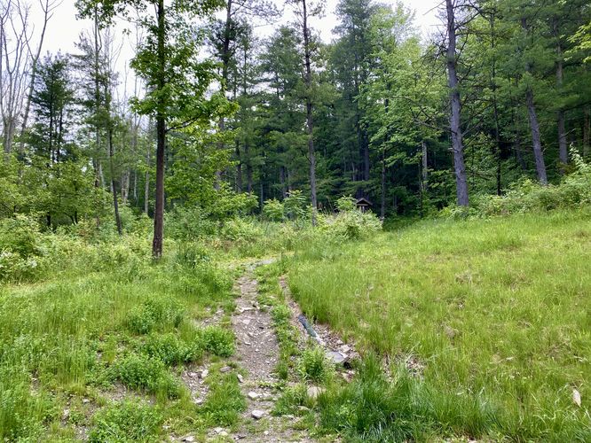 Steege Hill trailhead