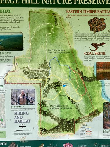 Steege Hill trail map