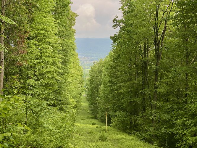 Pipeline view toward East Corning, NY
