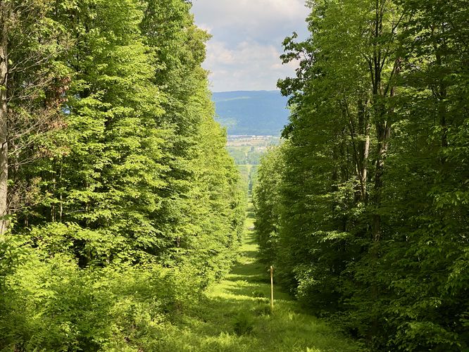 Pipeline view toward East Corning, NY