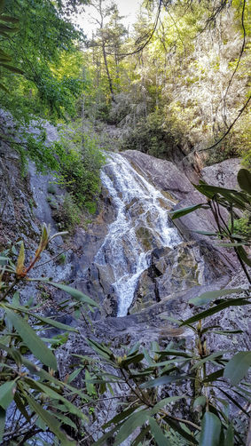 Picture 2 of Steels Creek Falls Hike 052216