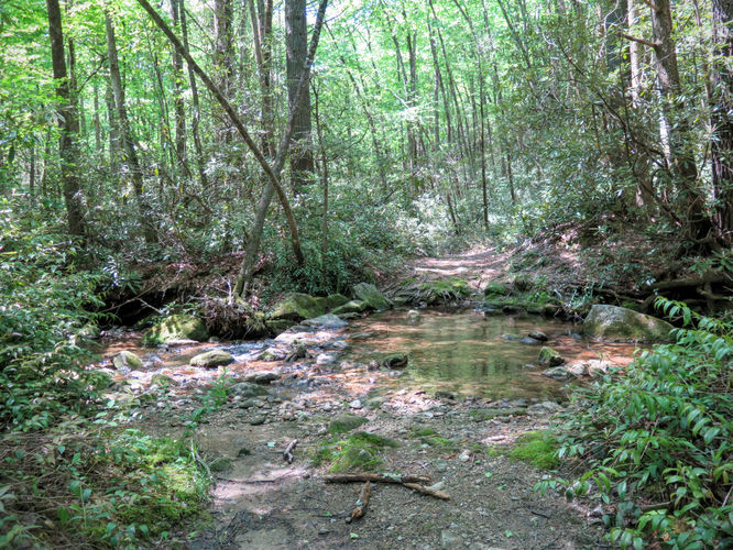 Picture 7 of Steels Creek Falls Hike 052216