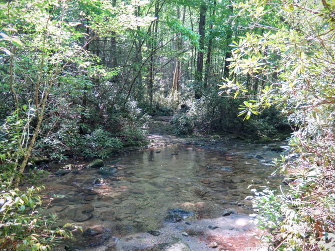 Picture 8 of Steels Creek Falls Hike 052216