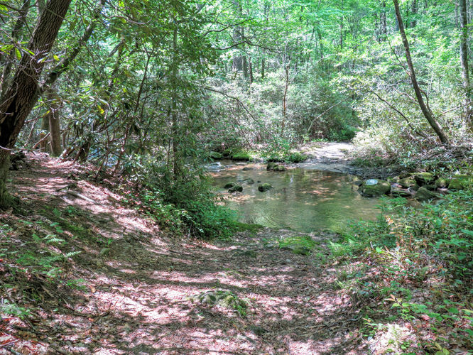 Picture 10 of Steels Creek Falls Hike 052216